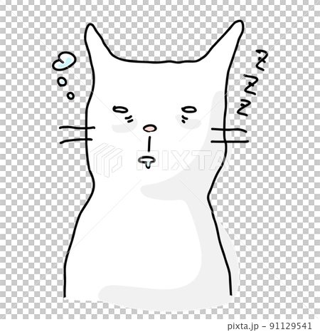 居眠りしている猫 91129541