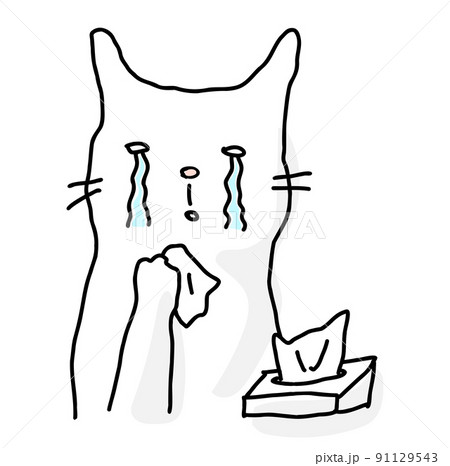 涙を流している猫 91129543