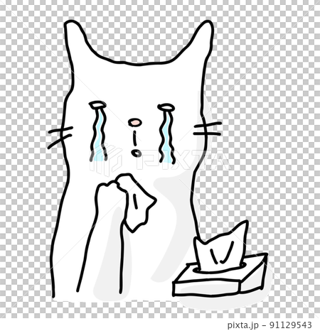 涙を流している猫 91129543