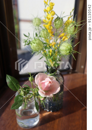 庭の花を簡単に生ける 91130542