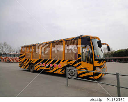 上海野生動物園のサファリバス 91130582
