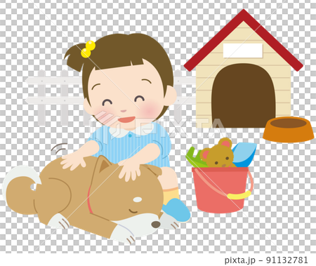 撫摸著熟睡的柴犬的女孩 撫摸著熟睡的柴犬的女孩 91132781