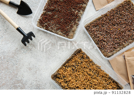 Microgreen seeds in paper bags and equipment for sowing microgreens. Microgreen seeds in paper bags and equipment for sowing microgreens. 91132828
