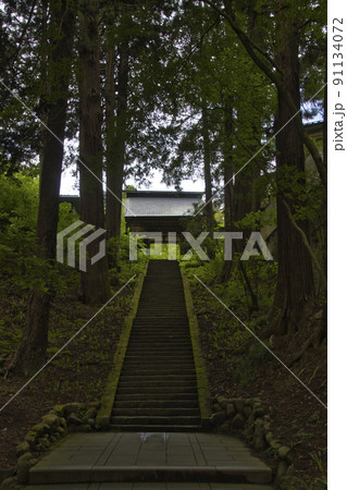 安楽寺　参道と山門　別所温泉　長野県上田市 91134072