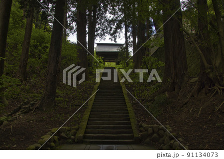 安楽寺 参道と山門 別所温泉 長野県上田市 安楽寺 参道と山門 別所温泉 長野県上田市 91134073