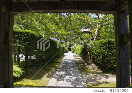 安楽寺　山門からの眺め　別所温泉　長野県上田市 91134096