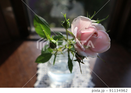 出窓にバラの花一輪挿し 91134962
