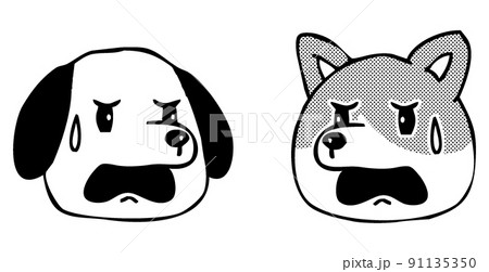 動物・犬の「うわ～」の表情・向き合う顔アイコン 91135350