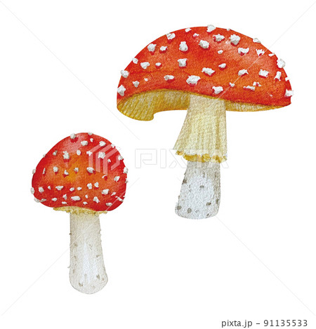 リアルタッチなベニテングダケの水彩画 リアルタッチなベニテングダケの水彩画 91135533