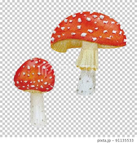 リアルタッチなベニテングダケの水彩画 リアルタッチなベニテングダケの水彩画 91135533