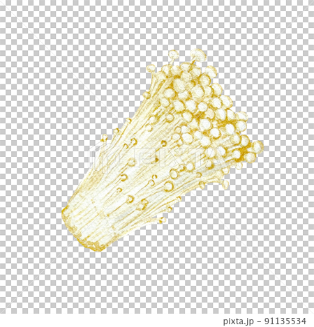 Realistic touch of watercolor painting of flammulina fili 91135534