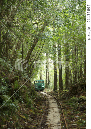 屋久島のトロッコ 屋久島のトロッコ 91135697