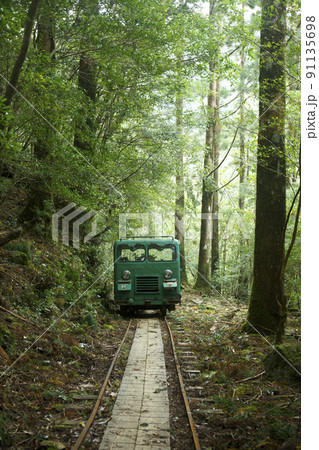 屋久島のトロッコ 屋久島のトロッコ 91135698