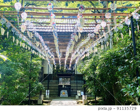 光明寺のお迎えふくろう風になびき涼しげな風鈴が連なる緑のトンネル 光明寺のお迎えふくろう風になびき涼しげな風鈴が連なる緑のトンネル 91135729