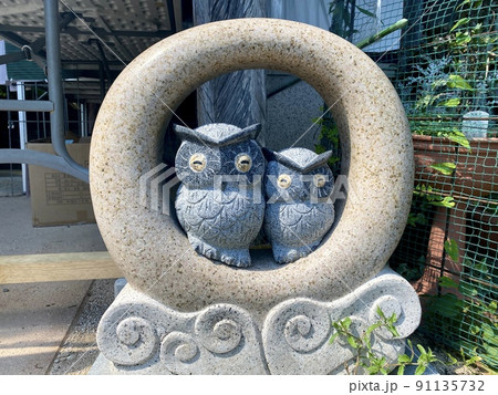 光明寺のお迎えふくろう 光明寺のお迎えふくろう 91135732