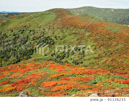 秋の三ツ石山 秋の三ツ石山 91136235