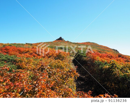 秋の三ツ石山 91136236