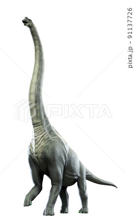 ブラキオサウルス（Brachiosaurus） 91137726