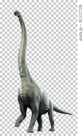 ブラキオサウルス（Brachiosaurus） 91137726