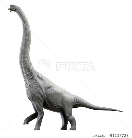 ブラキオサウルス（Brachiosaurus） 91137728