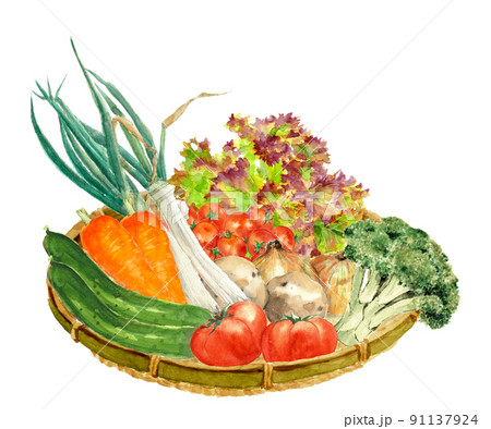 ザルに盛った野菜セット【手描き水彩画】素材 白バックPNG コピー