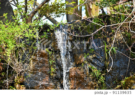 小さな滝の流れ 91139635