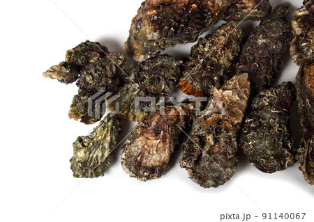 Oysters 91140067