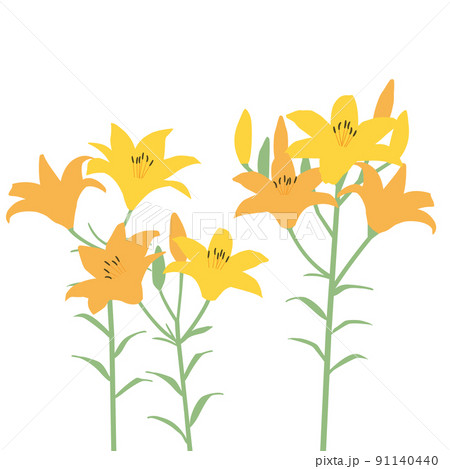 オレンジのユリの花のイラスト 91140440