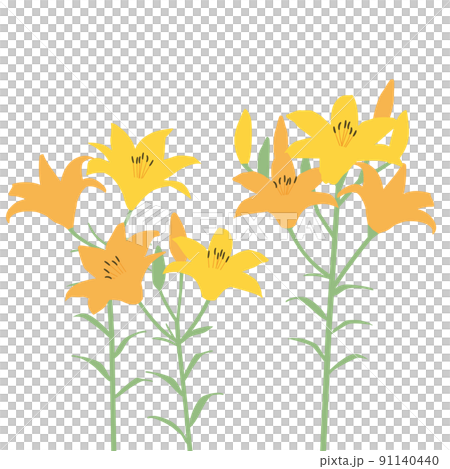 オレンジのユリの花のイラスト 91140440
