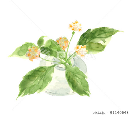 ガラスの花瓶に挿したオオニシキソウ【手書き水彩画】白バック 素材 91140643
