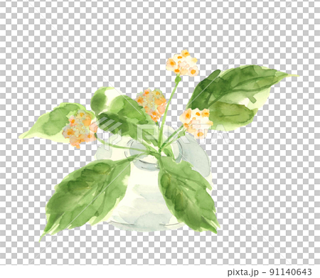 ガラスの花瓶に挿したオオニシキソウ【手書き水彩画】白バック 素材 91140643