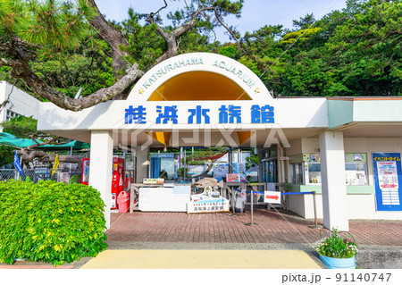高知県高知市　晴天の桂浜水族館 91140747