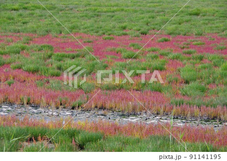 北海道佐呂間町　キムアネップ崎 91141195