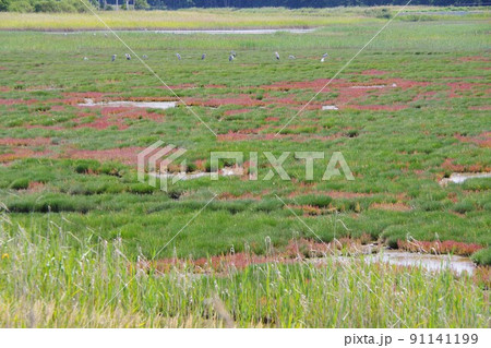 北海道佐呂間町　キムアネップ崎 91141199