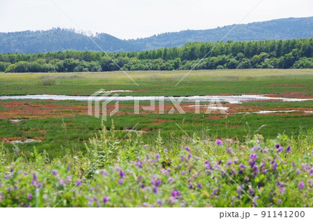 北海道佐呂間町　キムアネップ崎 91141200