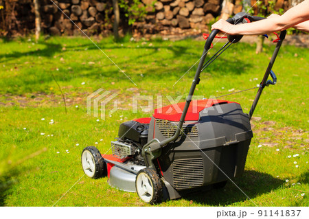 Gardening. Mowing green lawn with red lawnmower Gardening. Mowing green lawn with red lawnmower 91141837