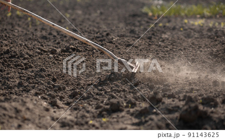 A rural workaholic rakes the ground in his garden A rural workaholic rakes the ground in his garden 91143625