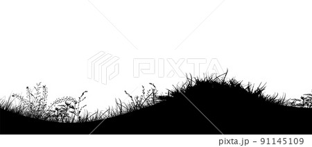 Grass black silhouettes. Vector illustration Grass black silhouettes. Vector illustration 91145109