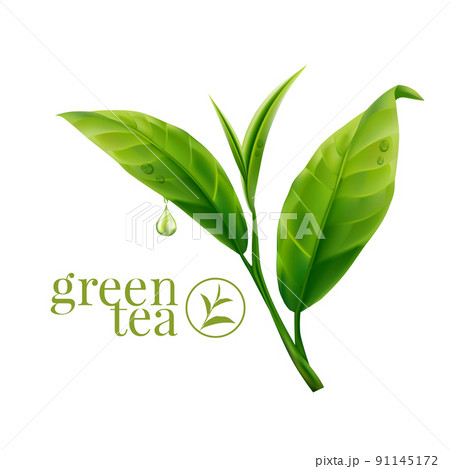 Realistic green tea leaves background for advertising poster. Vector illustration 91145172