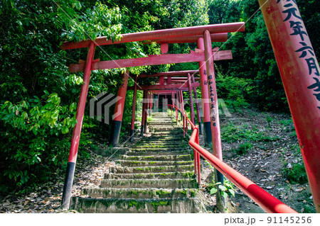 広島東照宮の境内社、金光稲荷神社の赤い鳥居が並ぶ御遺訓参道風景です。お守り写真にいかがですか。広島県 91145256
