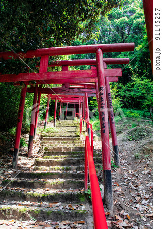 広島東照宮の境内社、金光稲荷神社の赤い鳥居が並ぶ御遺訓参道風景です。お守り写真にいかがですか。広島県 91145257