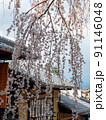Cherry blossoms in street of Gion in Kyoto 91146048