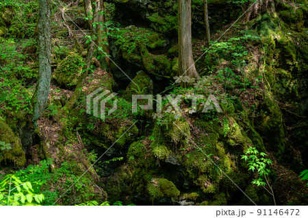 噴湯丘と球状石灰石 白骨温泉 噴湯丘と球状石灰石 白骨温泉 91146472