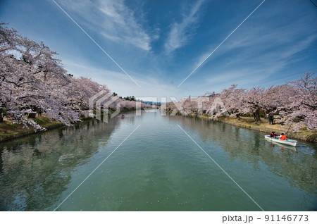 満開の桜が咲く弘前公園の西濠の風景 91146773