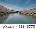 満開の桜が咲く弘前公園の西濠の風景 91146775
