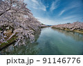 満開の桜が咲く弘前公園の西濠の風景 91146776
