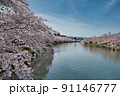 満開の桜が咲く弘前公園の西濠の風景 91146777