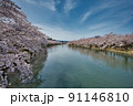 満開の桜が咲く弘前公園の西濠の風景 91146810