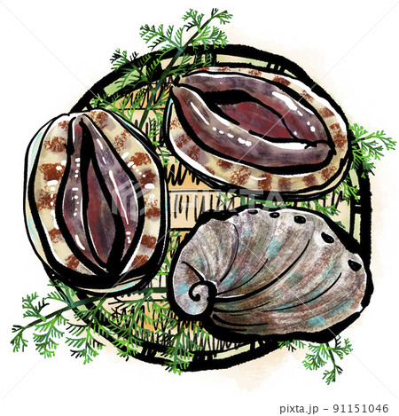 「あわび（Abalone・鮑）」の手書きイラ「あわび（Abalone・鮑）」の手スト（筆書き墨絵風） 91151046