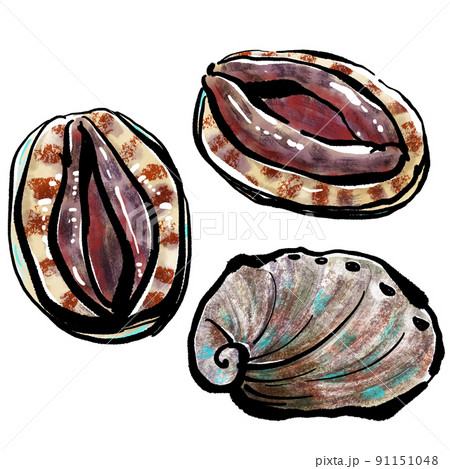 「あわび（Abalone・鮑）」の手書きイラ「あわび（Abalone・鮑）」の手スト（筆書き墨絵風） 91151048